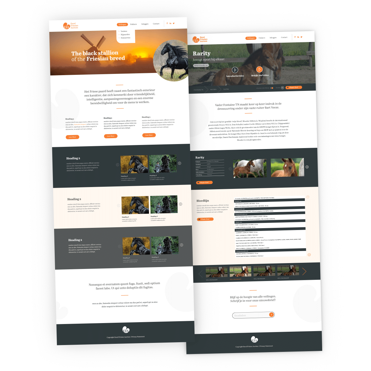 EFA logo visual identity