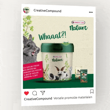 Versele Laga animated social