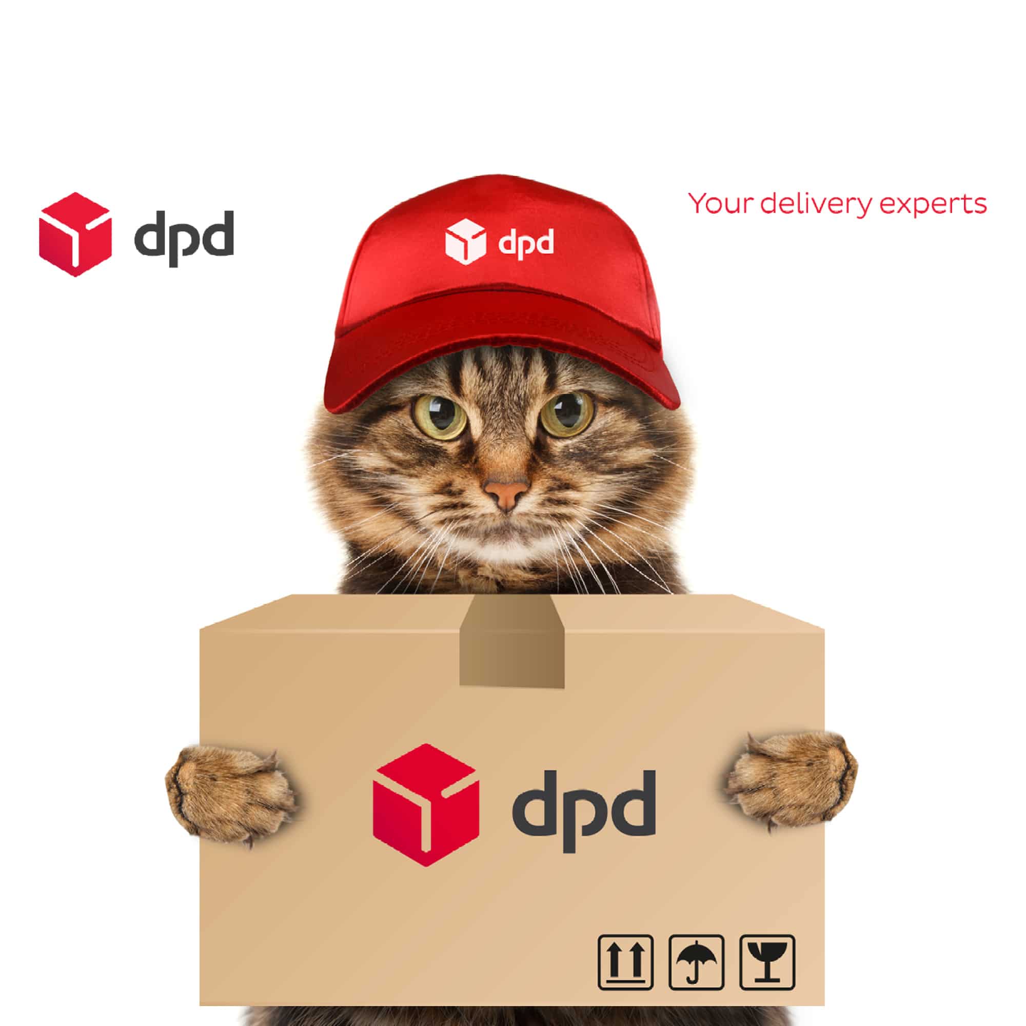 DPD Pakketservice